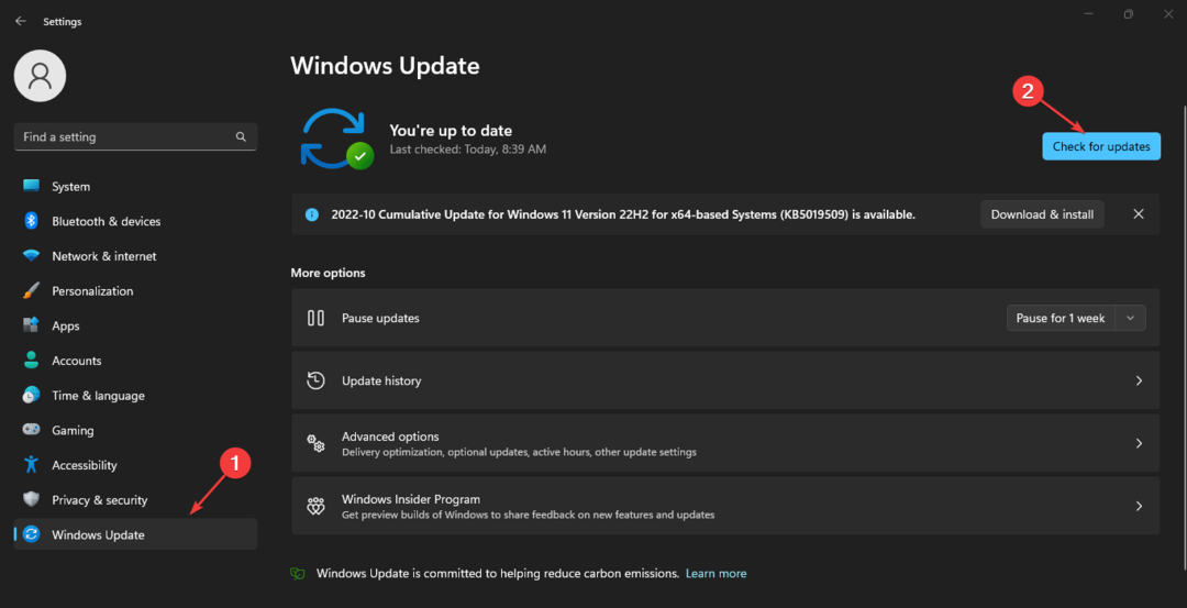 Discord Windows 11'de Açılmıyor mu? 7 Adımda Sorunu Düzeltin