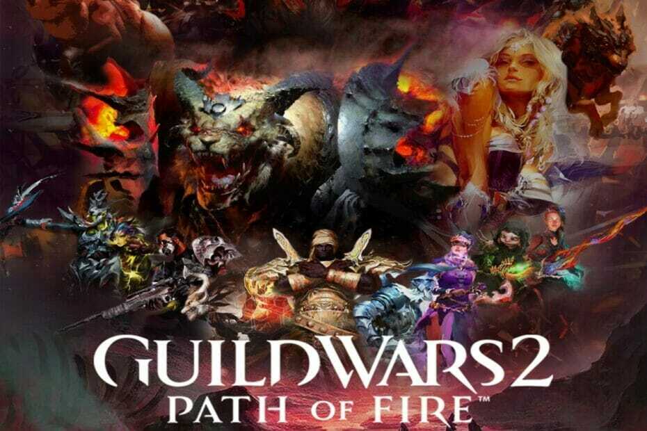 DirectX11-Unterstützung zu Guild 2 Wars hinzugefügt, um die Zukunft des MMOs zu planen