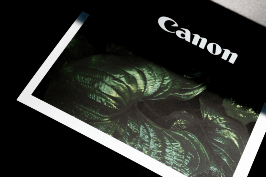 პრინტერის canon ყდა