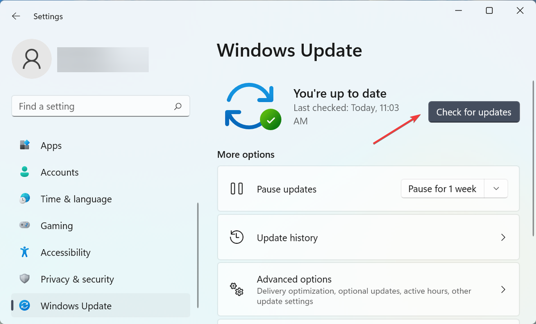 Patikrinkite, ar nėra naujinimų, kad „Windows 11“ nereaguotų į paspaudimus