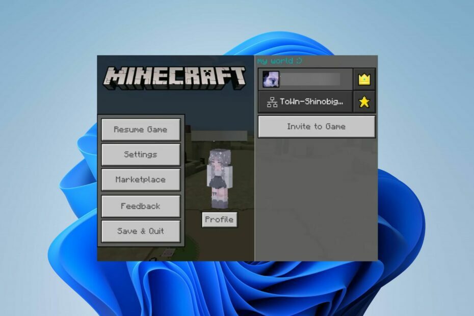 Behebung, dass Minecraft keine Freunde hinzufügt