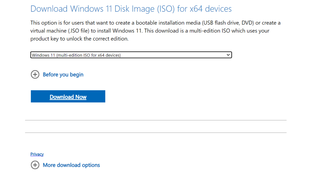 ISO di Windows 11