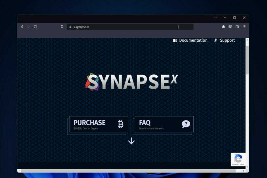 synapse synapse x ne s'ouvre pas