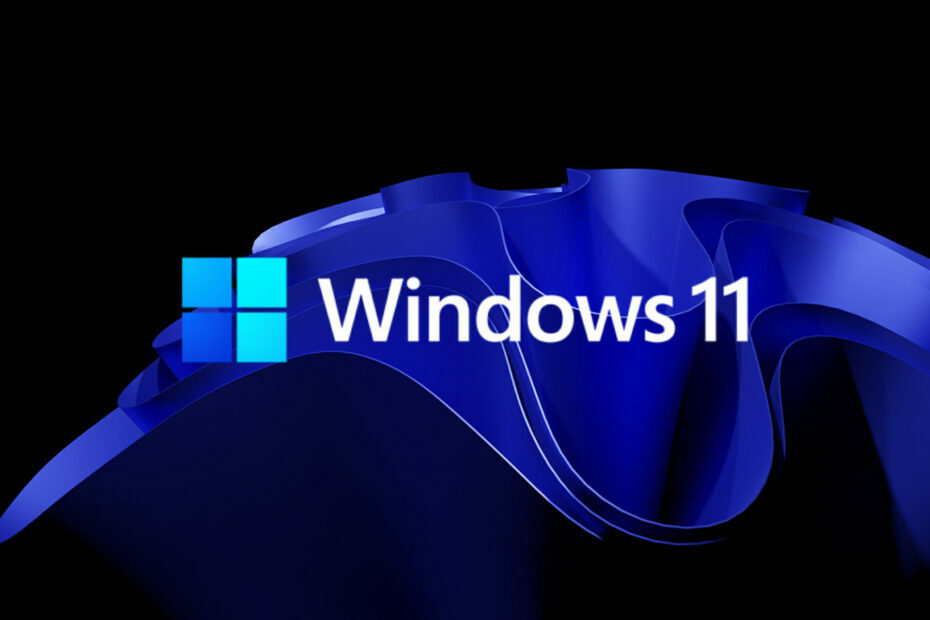 Windows 11 Build 25314 a fost lansat pe Canary Channel