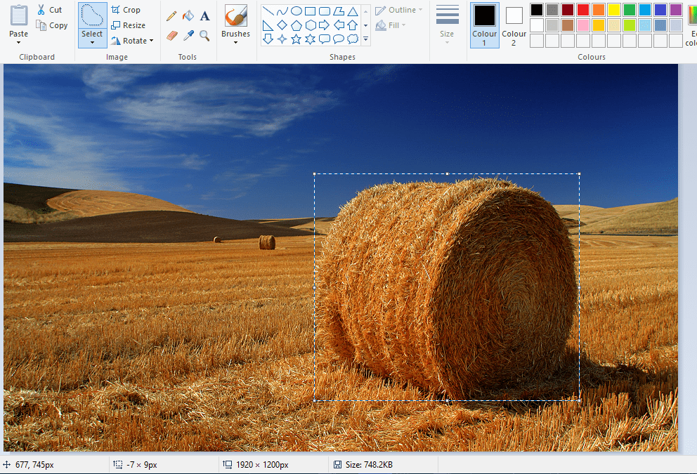خلفية شفافة في الرسام على Windows 10