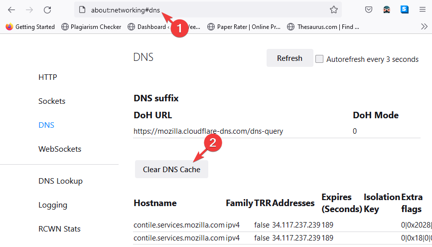 svuota la cache DNS per Firefox