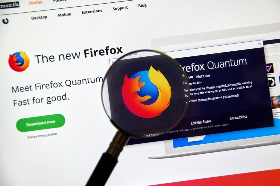Prohlížeč Firefox
