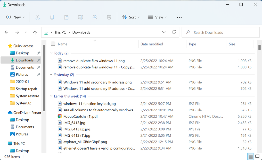 Fichiers en vue détaillée pour rechercher et supprimer les fichiers en double Windows 11