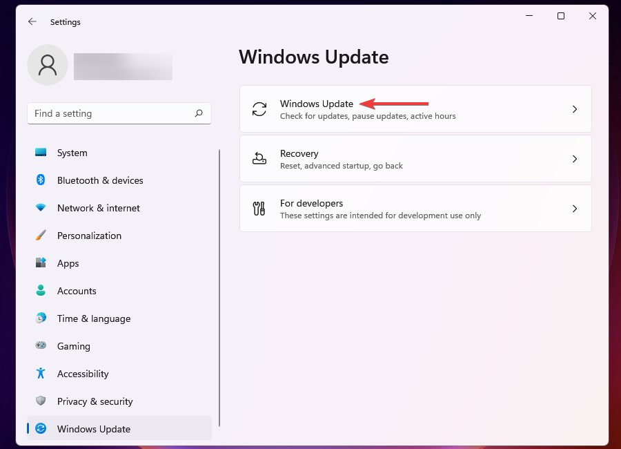 ตัวเลือก Windows Update