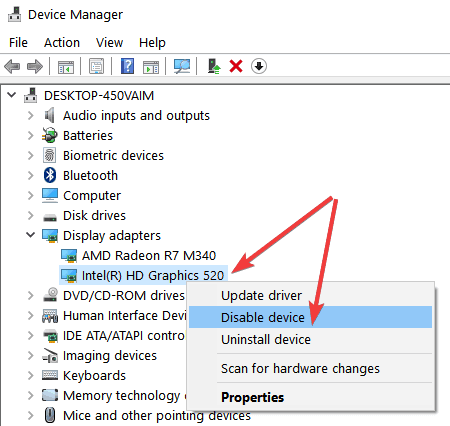 disabilita la scheda video di Windows 10 Device Manager