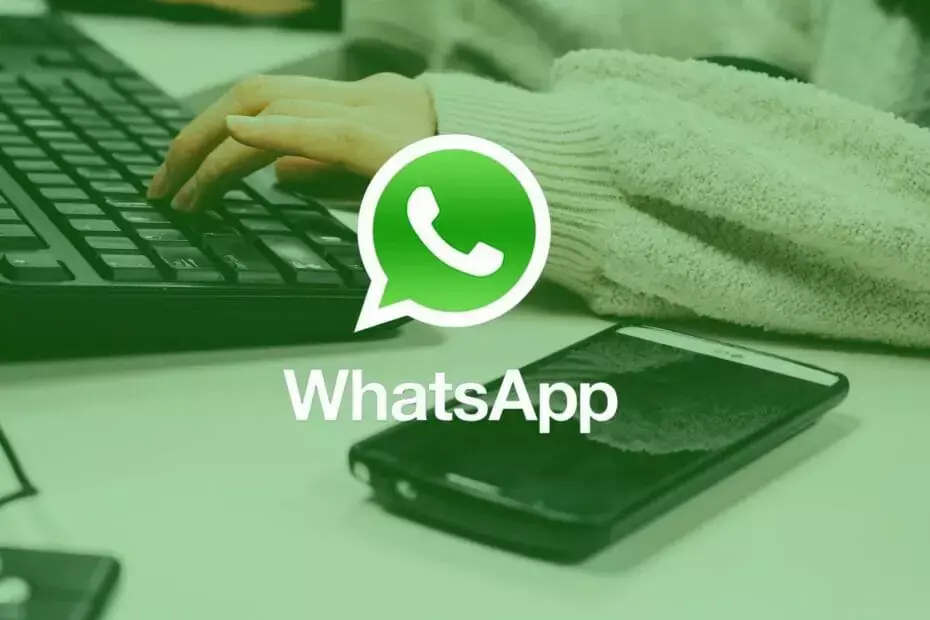 ส่วนขยาย WhatsApp สำหรับการส่งข้อความจำนวนมาก [รายการด่วน]