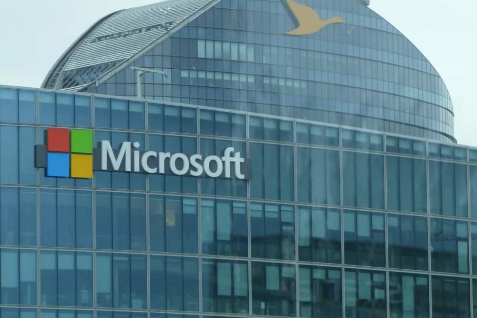Microsoft ავრცელებს უსაფრთხოების თებერვლის პატჩებს