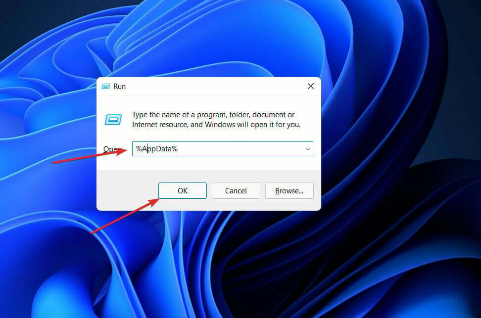 appdata-run namestitev diskorda ni uspela v sistemu Windows 11