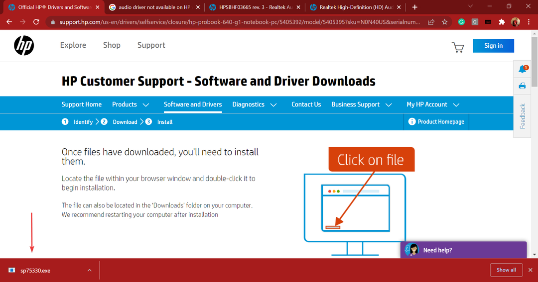 Pokrenite instalacijski program za preuzimanje realtek audio drajvera za Windows 11