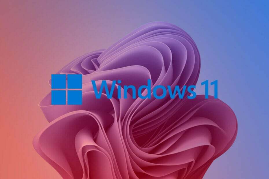 aggiornamento di windows 11