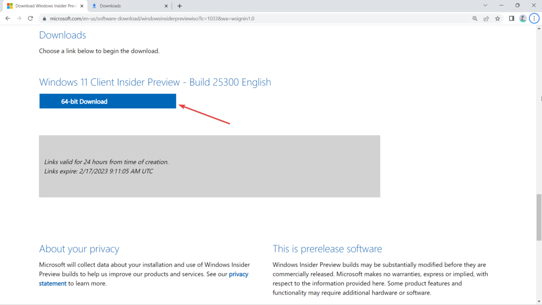 Ako povoliť/zakázať aplikácie pomocou ViVeTool v systéme Windows 11
