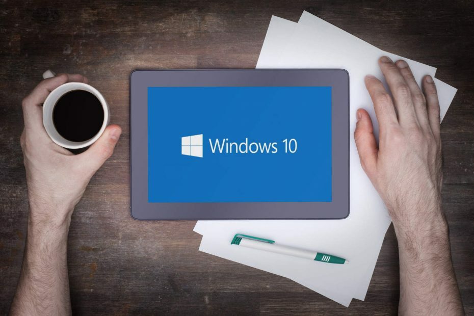 Das neueste Windows Insider-Update enthält mehr Probleme als Korrekturen fix
