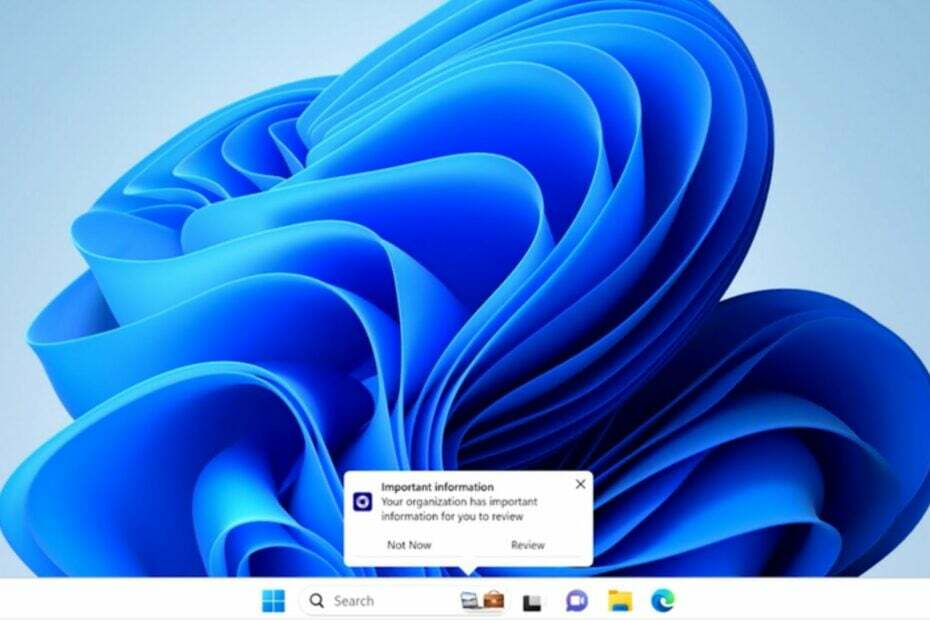 Organisationsnachrichten für Windows 11