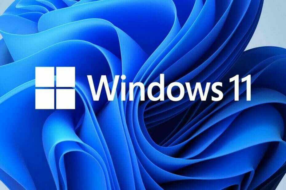 Τα Windows 11 καταλαμβάνουν περίπου το 10% του μεριδίου αγοράς