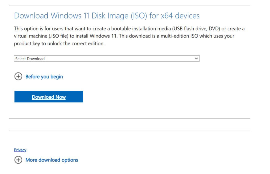 Oleacc.dll dosyasını düzeltmek için Windows 11 iso
