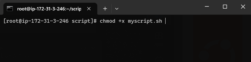 CHMOD bash.exe