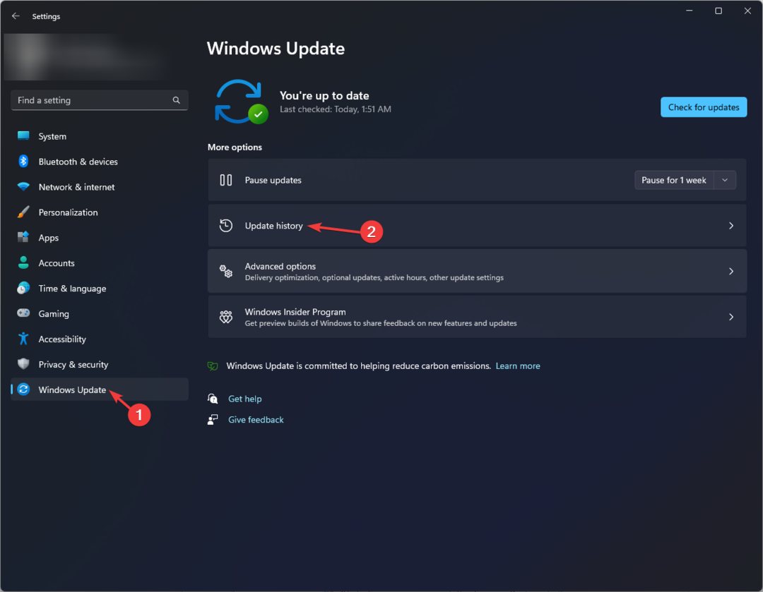 Windows Update 2 - updategeschiedenis - Bestandssysteemfout-2147163890
