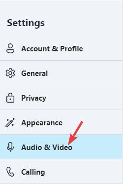 Skype audio a video
