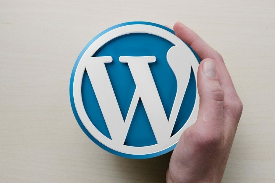 „WordPress“ logotipas - kaip išspręsti įprastas „WordPress“ prieglobos problemas