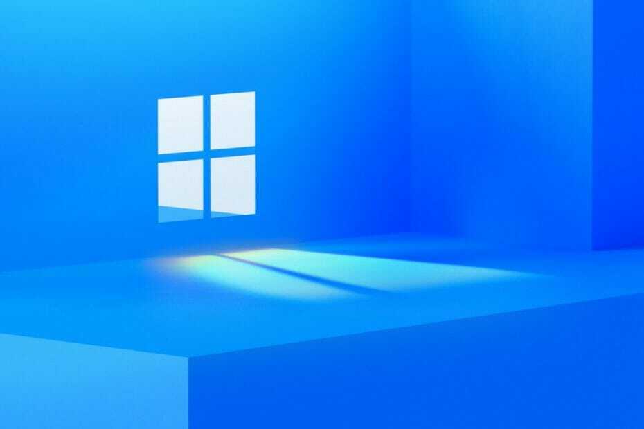 Windows 11 tapet