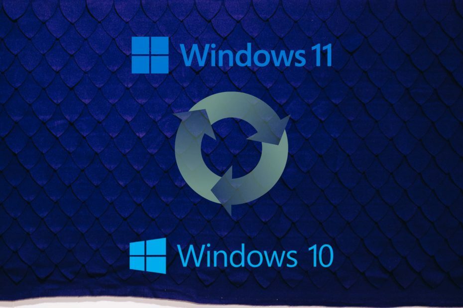 Windows 11 bis Windows 10