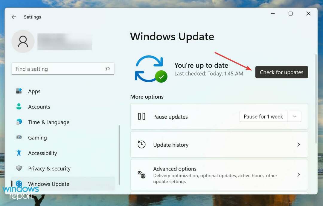 Windows 11'de çalışmayan parlaklığı düzeltmek için güncellemeleri kontrol edin