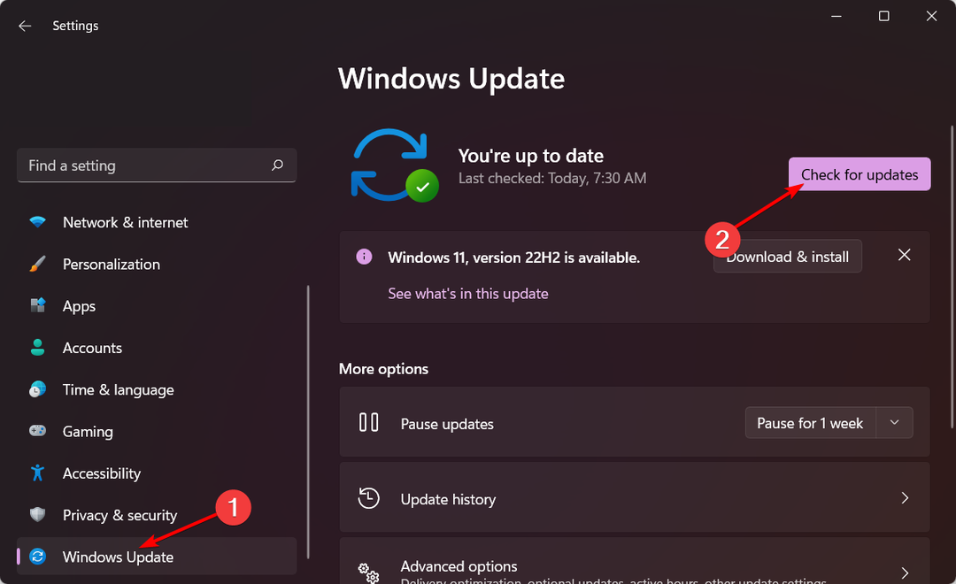 check-updates-w11 windows 11 sininen näyttö