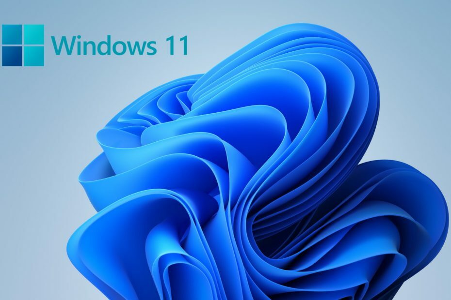 Fungerer fingeraftrykssensoren ikke i Windows 11? Løs det hurtigt