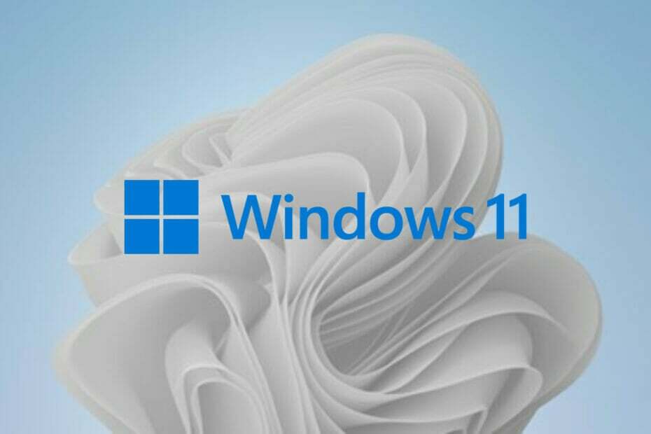 Une fuite sur Twitter montre que les autocollants de papier peint de Windows 11 sont en route
