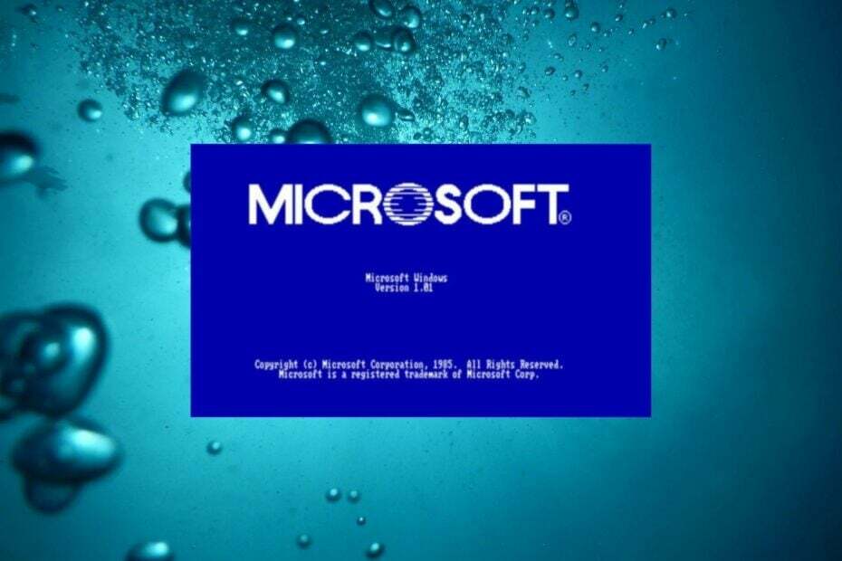 Fakten über Microsoft Windows