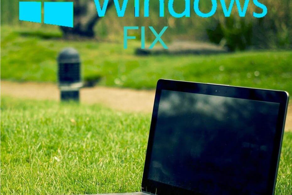 Druckbildschirm funktioniert nicht unter Windows 10