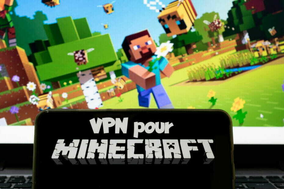 خدمة Minecraft avec VPN