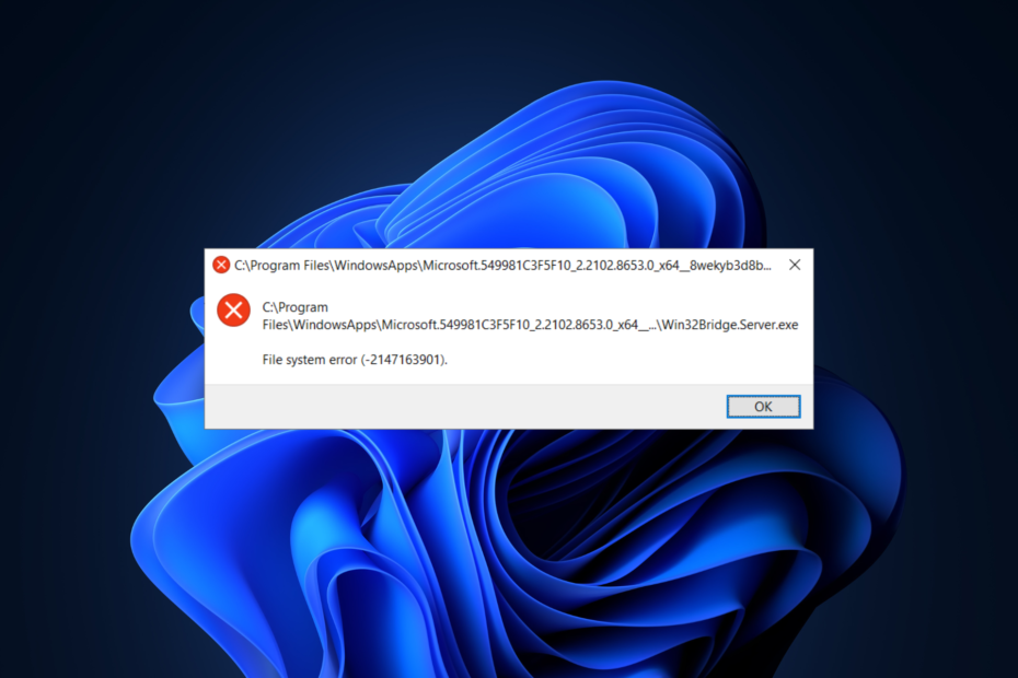 Filsystemfejl (-2147163901) på Windows 11