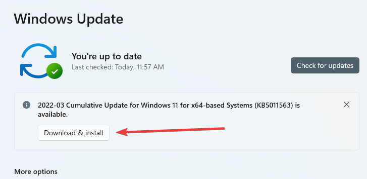 Windows 11 nerozpoznáva usb c