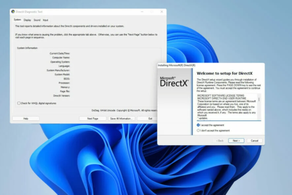 directx windows 11 hatası