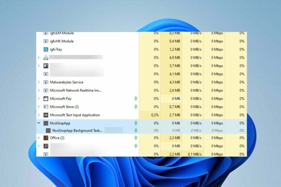 Cos'è NcsiUwpApp in Task Manager?