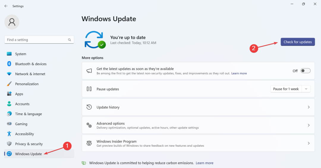controlla gli aggiornamenti per correggere il primo piano di Windows 11 Explorer