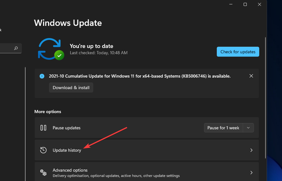 Die Option Update-Verlauf inaccessible_boot_device Windows 11