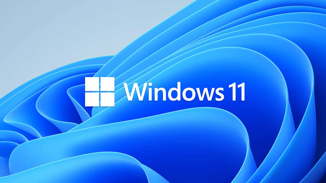 I 35 Migliori temi e skin per Windows 11 [Brezplačno]