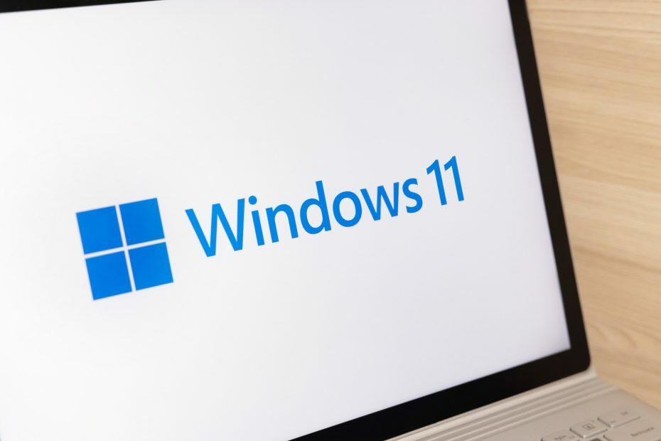 Informasi layanan Windows 11