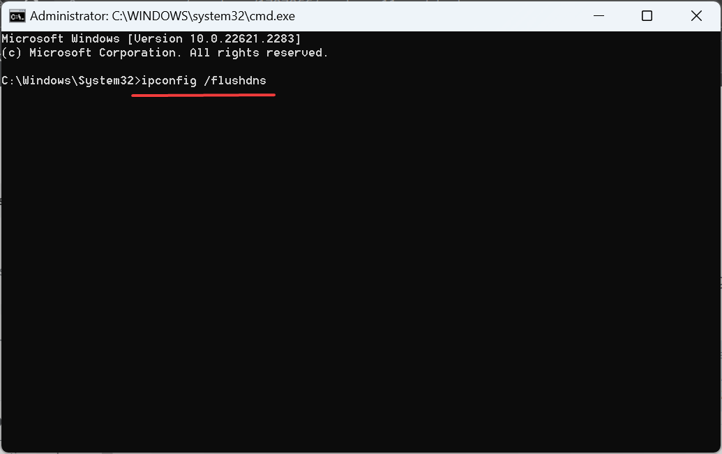 flush dns per correggere il nas di Windows 11 che non viene visualizzato nella rete