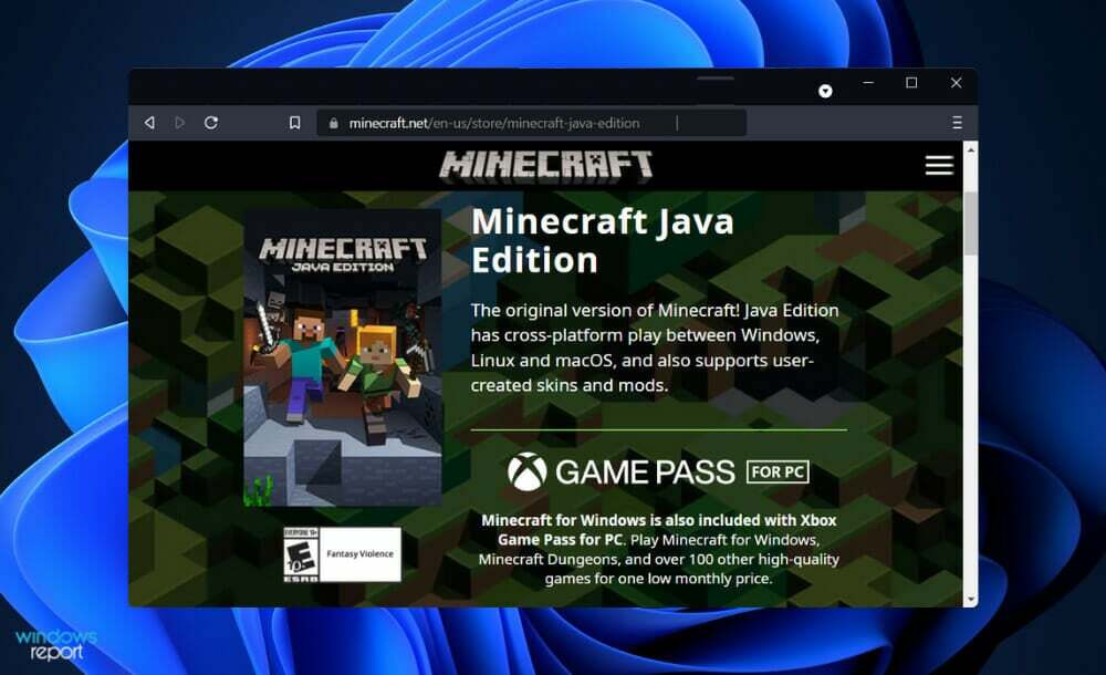 Minecraft-indstillinger i java-versionen gemmes ikke