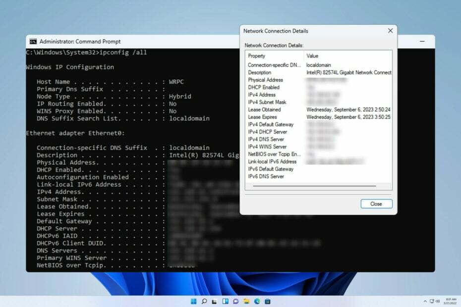 detalii conexiuni la rețea Windows 11