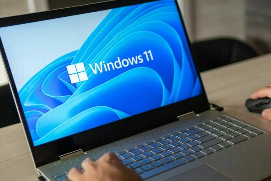 ახალი განახლება: Windows 11 უკვე ხელმისაწვდომია სხვა კომპიუტერებისთვის