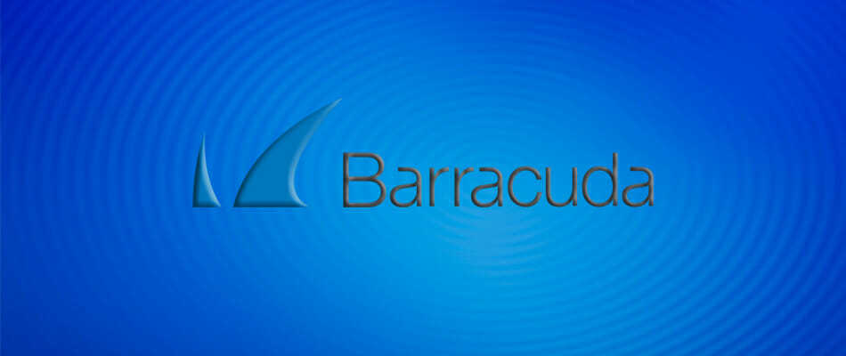Barracuda veebiturvalisus